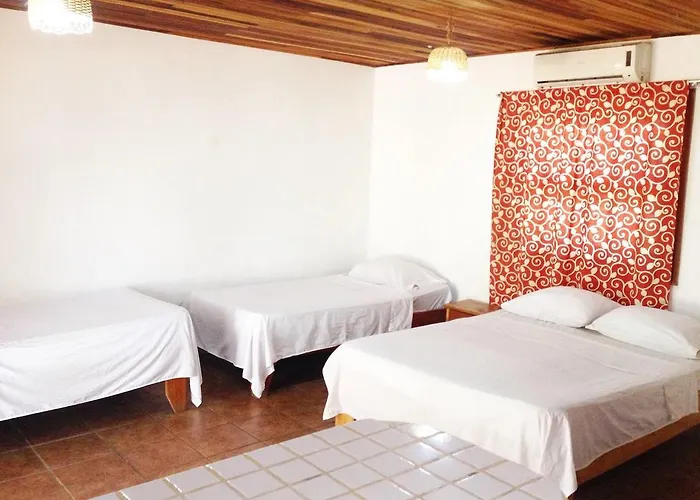 The Chocolate Hotel And 5 Star Hostel Hostal Santa Cruz (Guanacaste)
