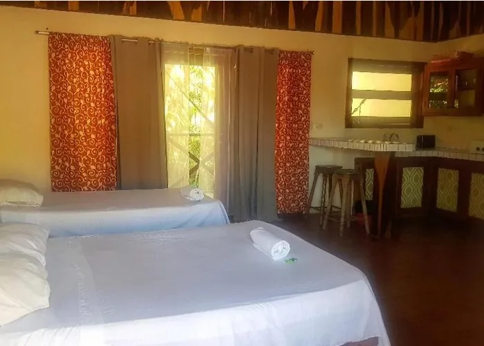 Hostal The Chocolate Hotel And 5 Star Hostel